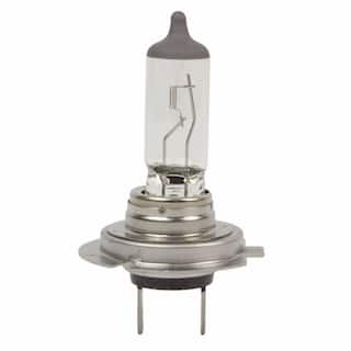 Headlight Bulb OEM Parts 93BZ13466A