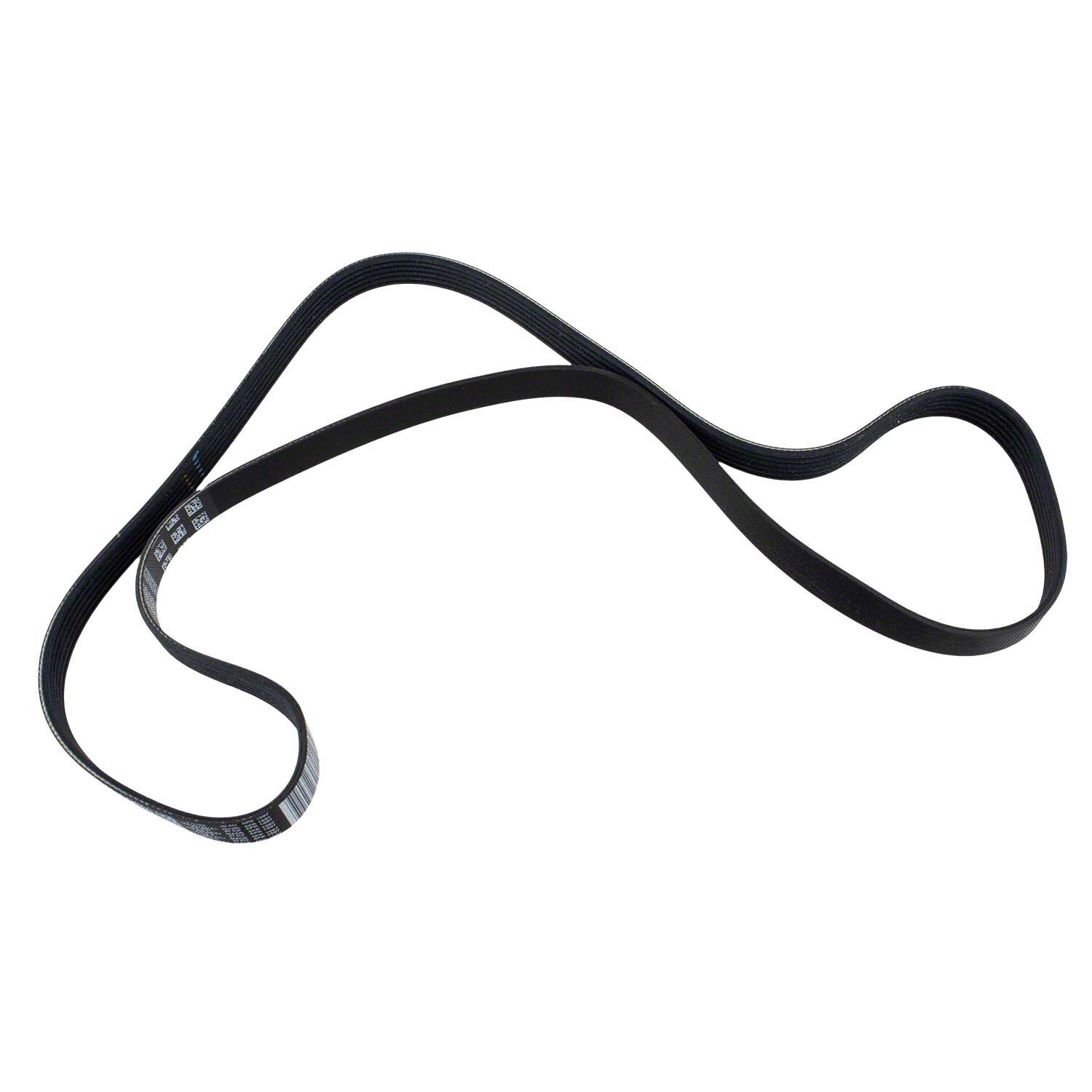 Serpentine Belt | FordUS
