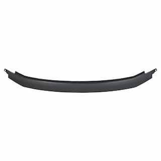 Bumper Step Pad Impact - Front (Phantom/Raptor) OEM Parts FL3Z17C829B