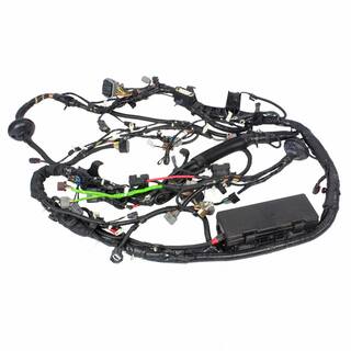 Wire - 5.0L OEM Parts DL3Z12A581GFB