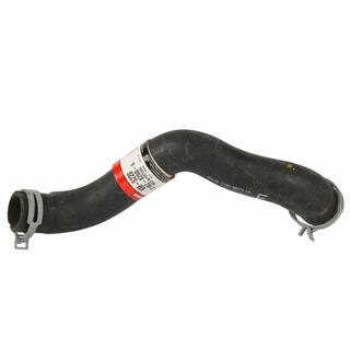 Radiator Coolant Hose - 1.6L OEM Parts KM5220