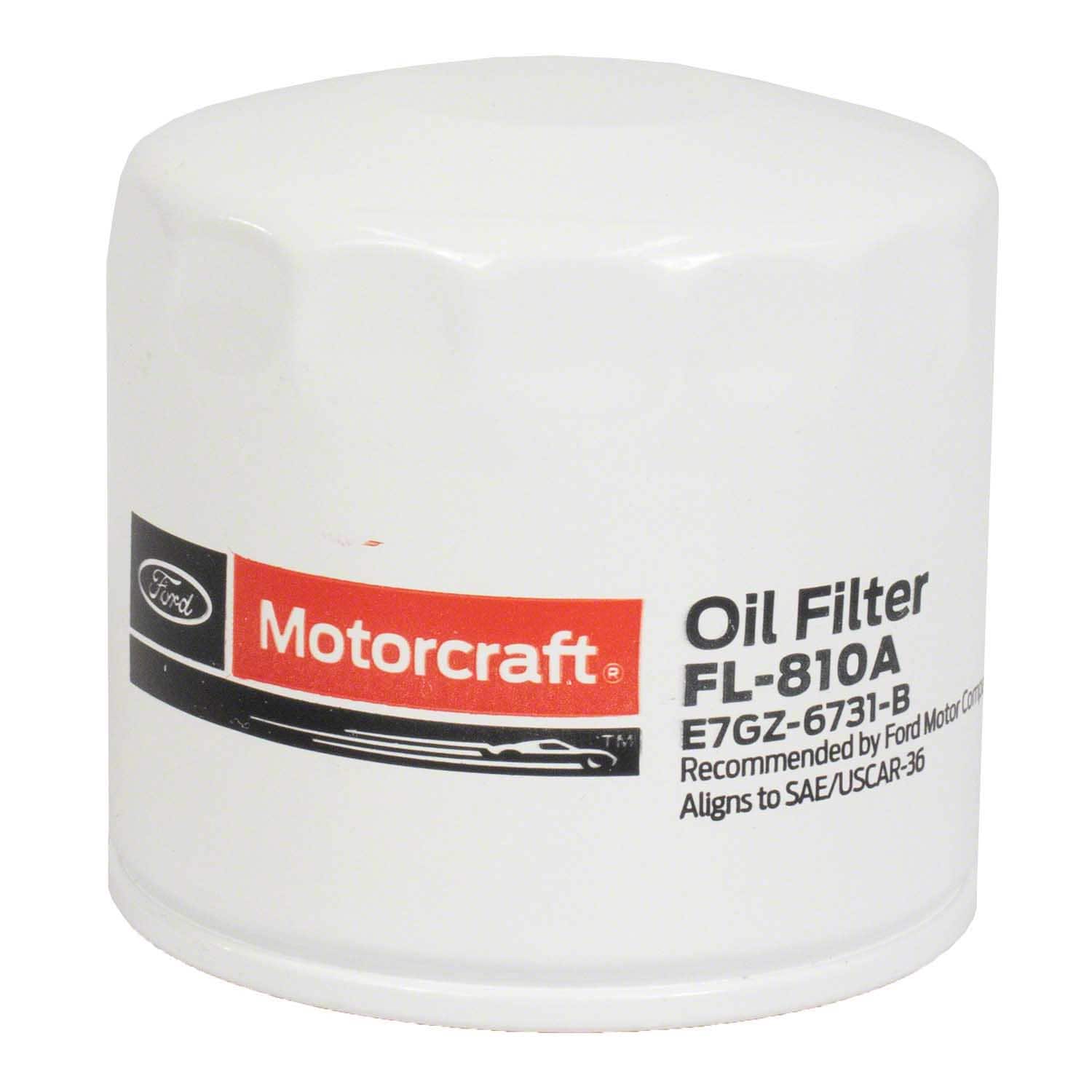 Engine Oil Filter Kit Element and Gasket  FL810A