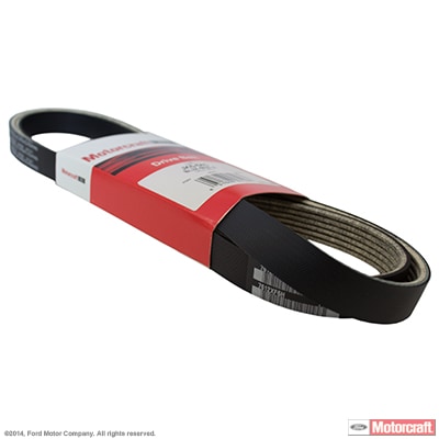 Serpentine Belt - 5.0L | FordUS