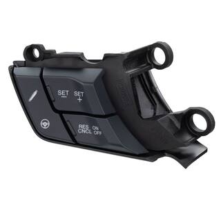 Cruise Control Switch - Left, Lower (AT) OEM Parts SW8604