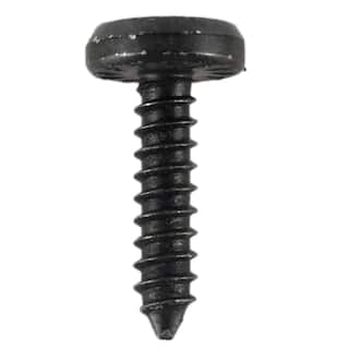 Side cover screw - 4.8 X 19MM (BEV) OEM Parts NL3Z00813A