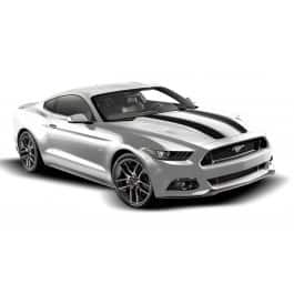 Mustang 2015-2020 Matte Black Dual Hood Custom Stripe Kit OEM Parts VFR3Z6320000E