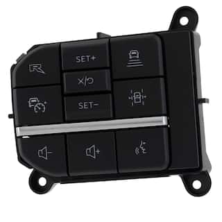 Accessory Switch - Left, Center (Raptor Series) OEM Parts SW8939