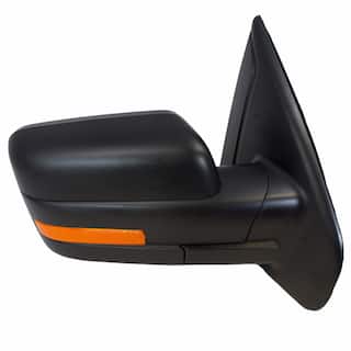 Door Mirror Rear View Head - Right, Outer OEM Parts 9L3Z17682CB