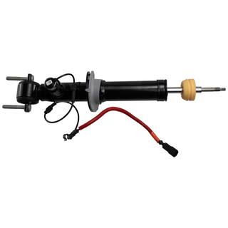 Strut Suspension - Right, Front OEM Parts AST86078