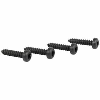 Interior Grab Bar Screw Sun Visor Holder OEM Parts W790067S900