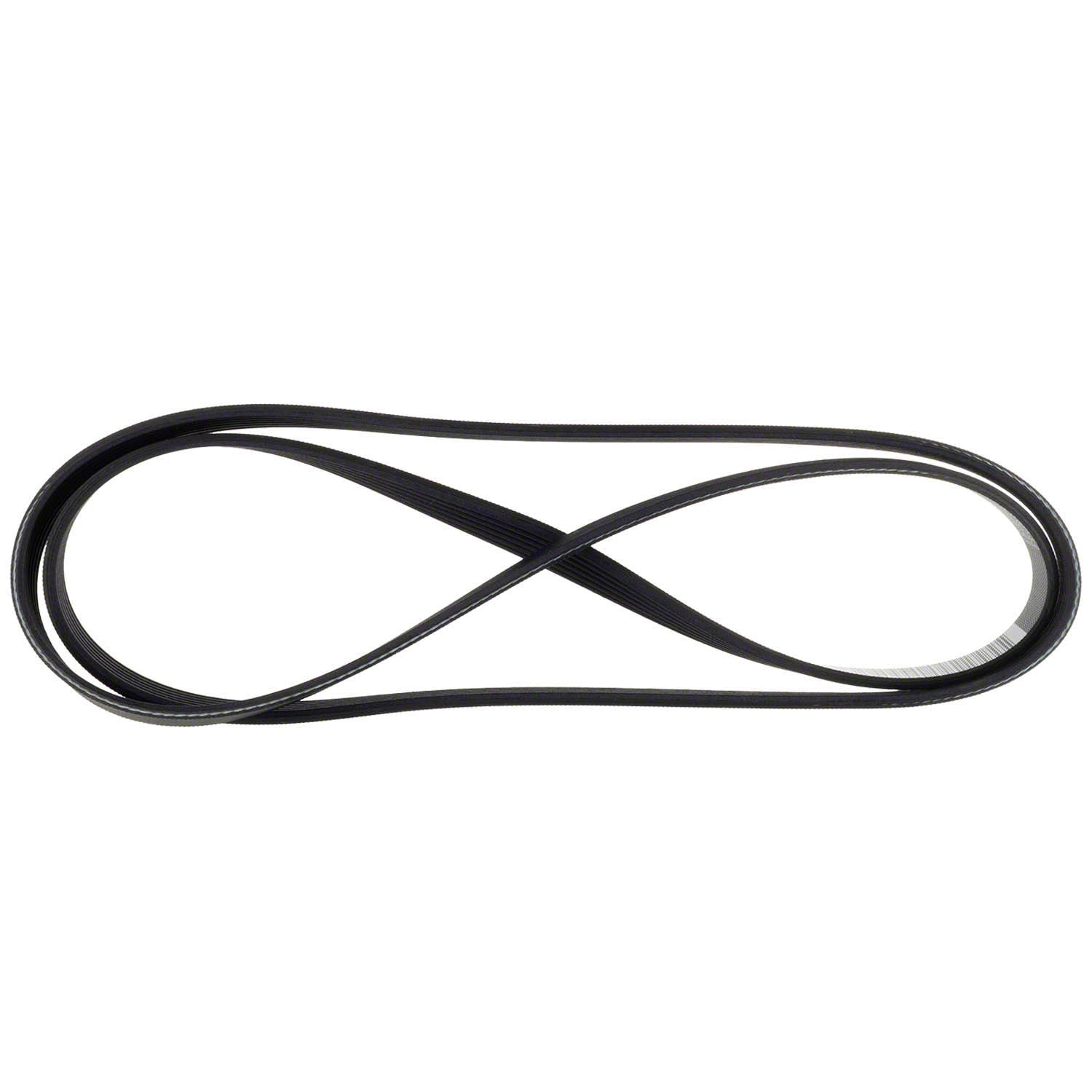 Serpentine Belt - 5.0L | FordUS