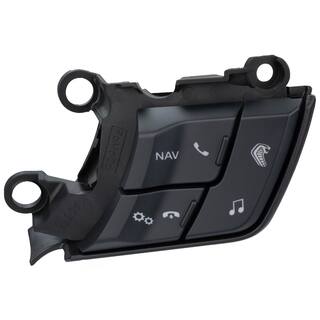Cruise Control Switch - Right, Lower (AT) OEM Parts SW8605