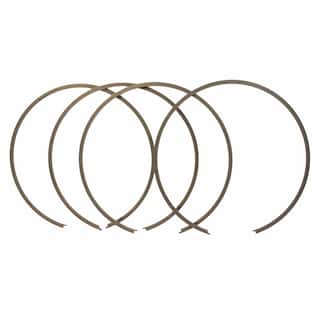 Snap Ring (AT) OEM Parts 377127S