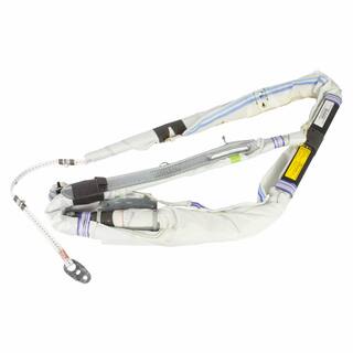 Curtain Air Bag - Left OEM Parts DS7Z54042D95H