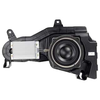 Woofer (Raptor Series) OEM Parts N2DZ18C804A
