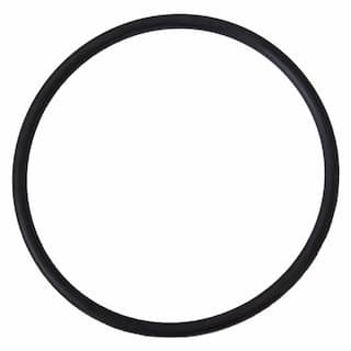 Engine Coolant Outlet O-Ring 