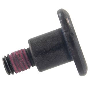 Screw Torx Head OEM Parts M2DZ00813P