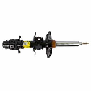 Suspension Strut - Front (Convertible) OEM Parts AST84829
