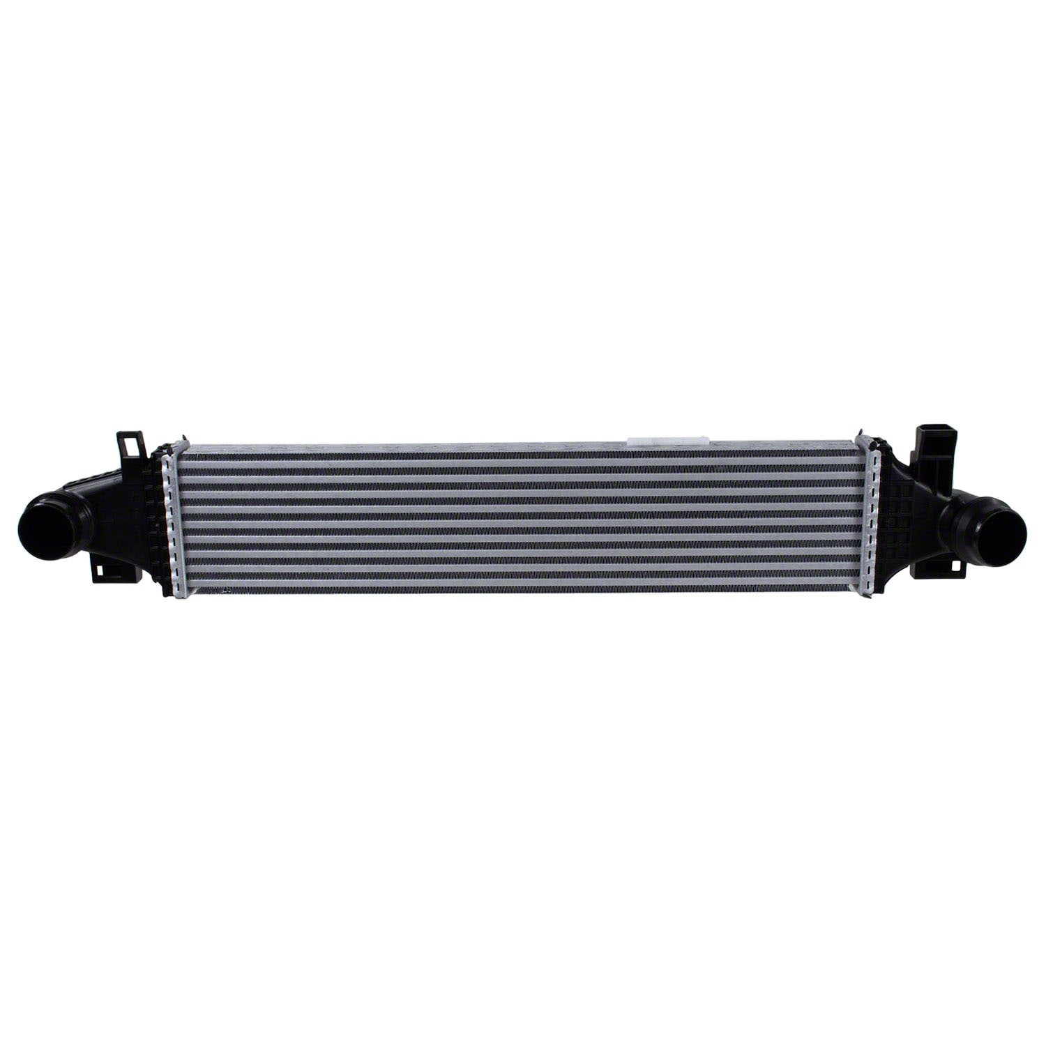 野猿 2000GTR Budokan Limited Inter Cooler～ TYPE-LS