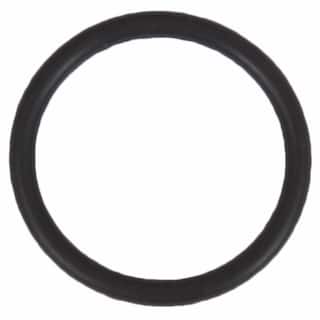 Hardware Miscellaneous - 17MM 6.0L OEM Parts W301970