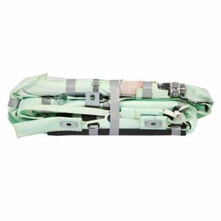 Curtain Air Bag Module - Left OEM Parts DG1Z54042D95A